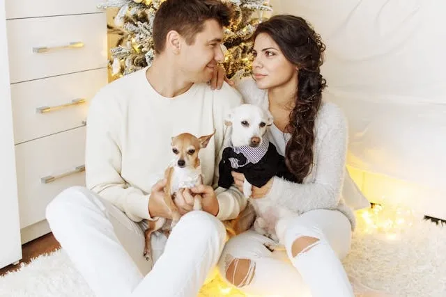 a happy couple with puppies sitting beside a christmas tree for christmas proposal ideas