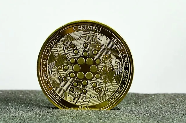 an intricate coin for challenge coin display ideas