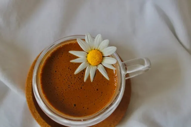 a cup of coffee with a daisy for pressed flower coasters