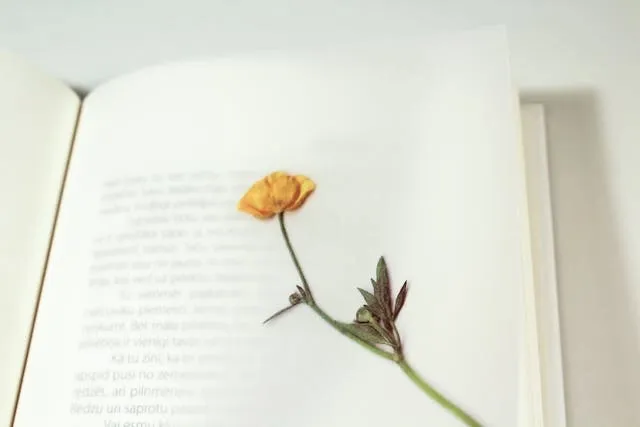a pressed flower on a book page for pressed flower coasters