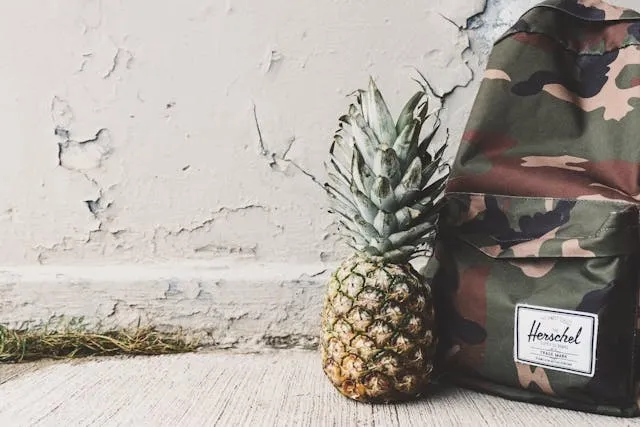 a camo patterned backpack beside a pineapple on a concrete floor for how to measure a backpack
