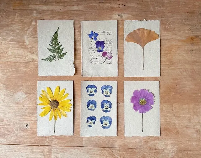 a selection of pressed flowers for how to make resin coasters with flowers