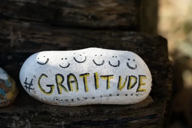 a rock with the word gratitude written on it for what is a gratitude journal