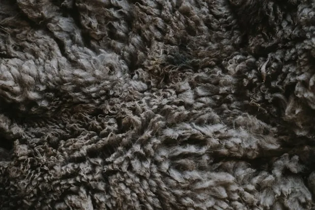 a dark sheep fleece texture for sherpa vs fleece blanket
