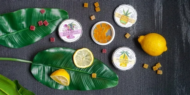 gel air fresheners for how do solid air fresheners work