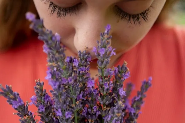a person smelling lavender for how to make a diy natural air freshener