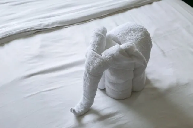 a white towel folded into an elephant shape for how to whiten towels without bleach