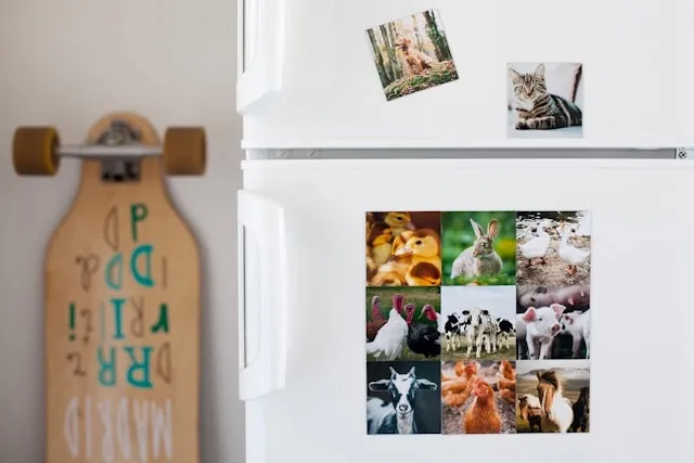 photos on a fridge for how to make photo magnets