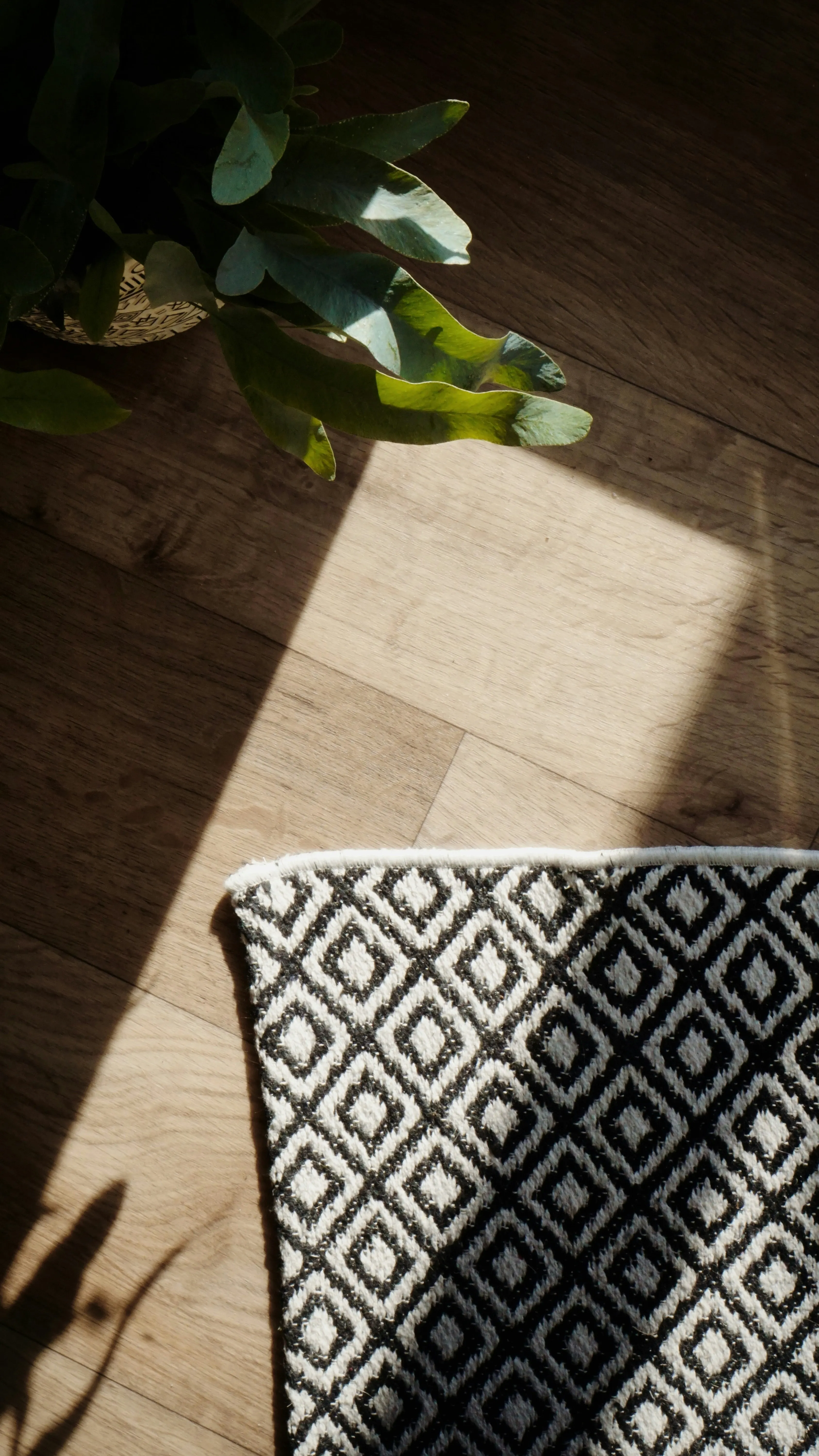 Kitchen towel on working surface