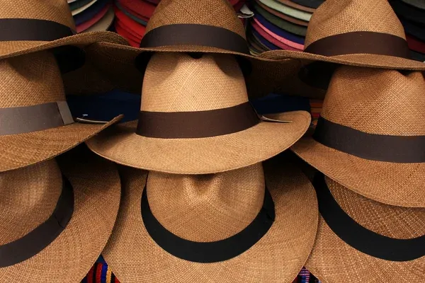 Brown Panama hats Brown Panama hats