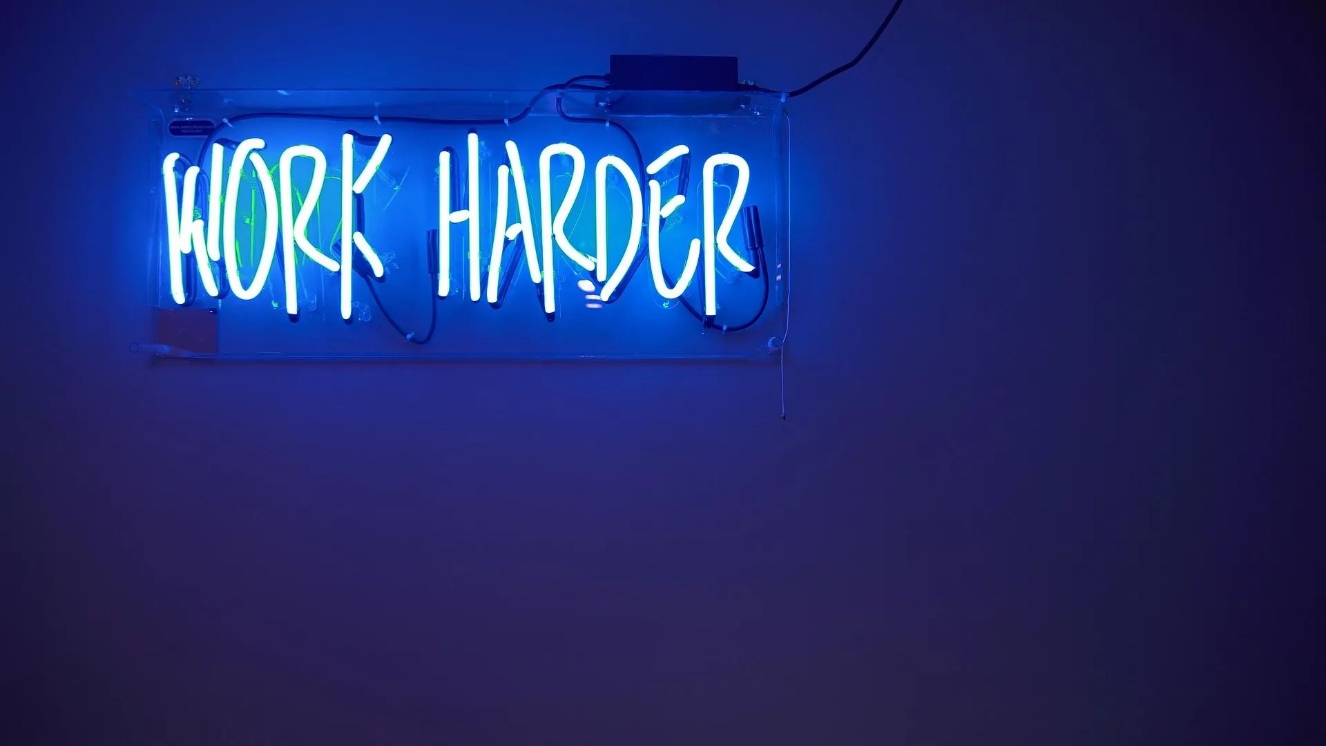 a glowing neon phrase mounted on a plain wall for neon sign sayings a glowing neon phrase mounted on a plain wall for neon sign sayings