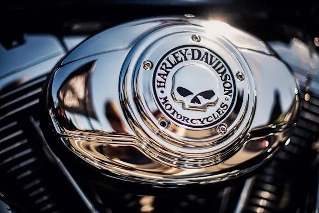 the harley davidson emblem on a motorcycle for motorcycle patches to avoid