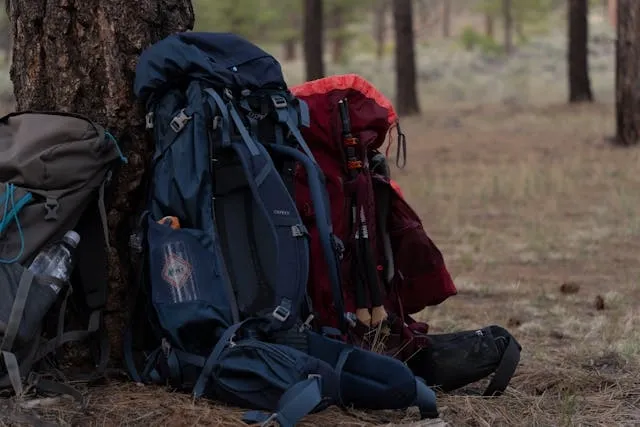 hiking backpacks resting against a tree for when were backpacks invented hiking backpacks resting against a tree for when were backpacks invented