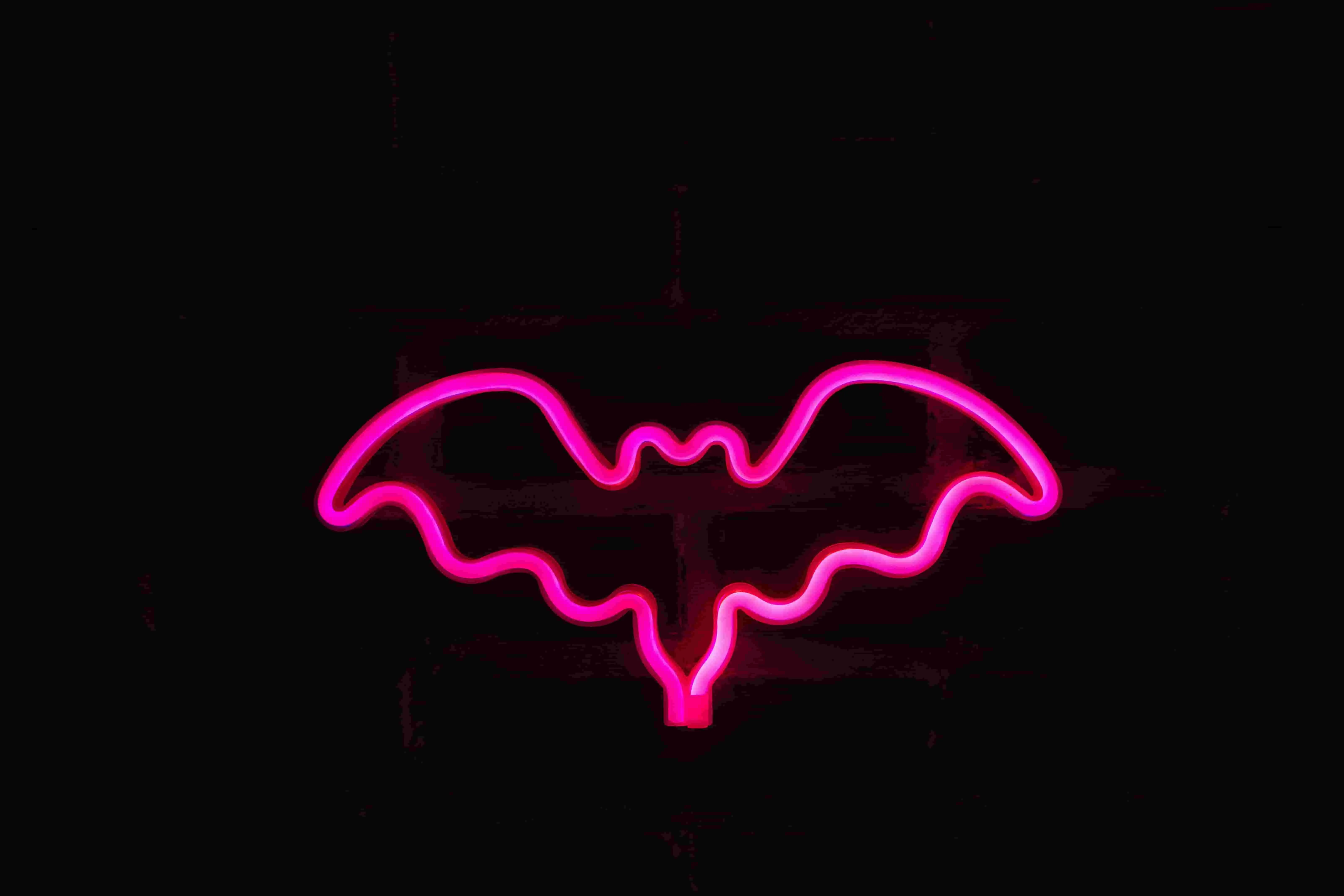 a pink neon sign shaped like a bat for funny halloween neon signs