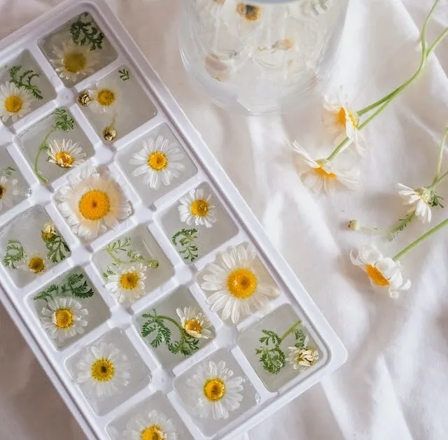 pressed flower coasters for resin coaster ideas
