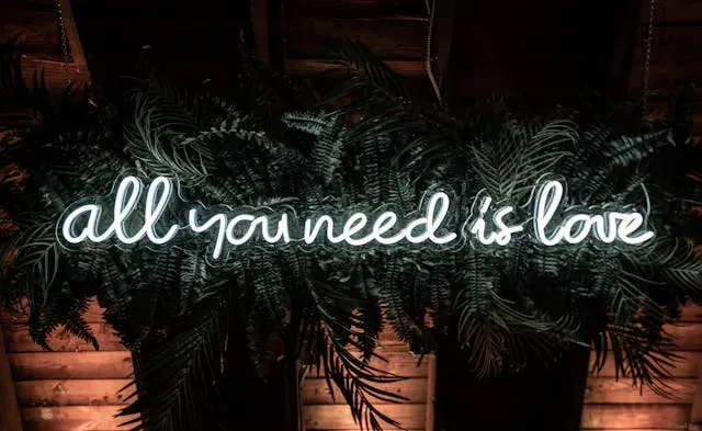 all you need is love neon sign for wedding neon sign ideas