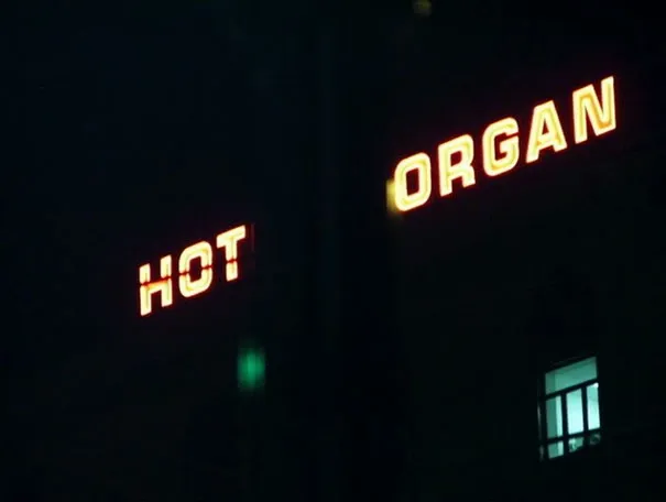 an amusing unintentional neon sign message for neon sign fails