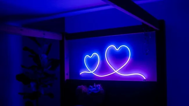 mood lighting for neon rope light ideas