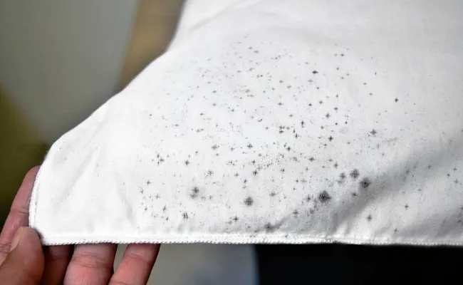 mold stains on fabric for how to get mold out of tablecloths