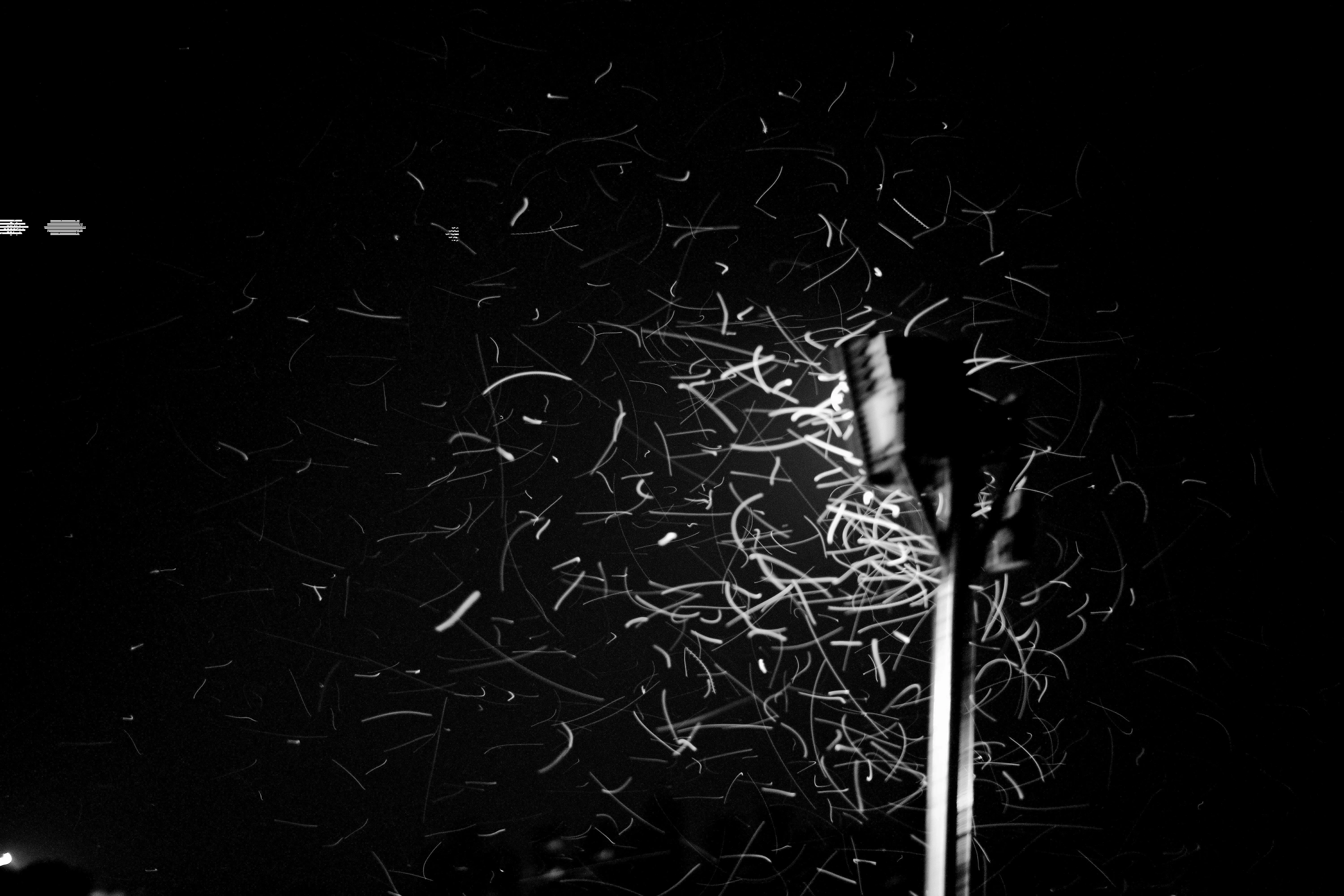 insects swarming around an outdoor light for do led lights attract bugs