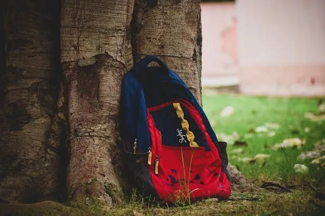 a colorful backpack at the base of a tree for how to customize backpack