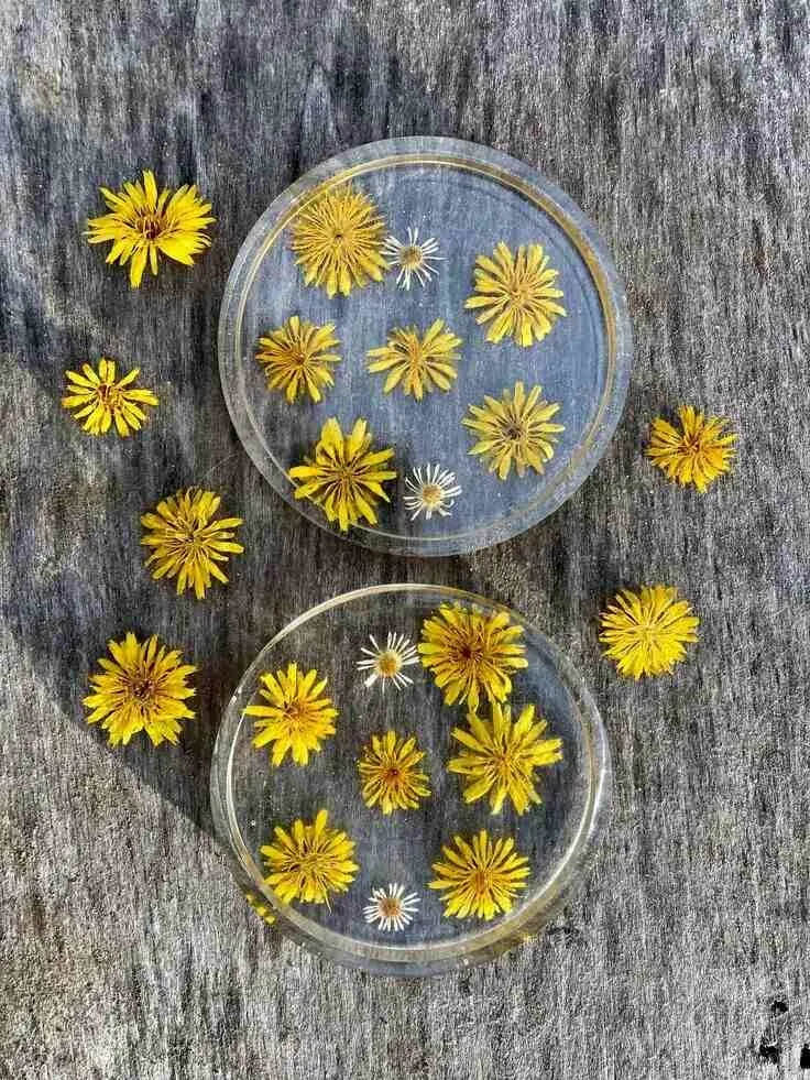 Pinterest image of floral resin coaster ideas